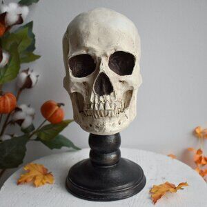 Realistic Skull On Pedestal Resin Spooky Gothic Fall Horror Halloween Decor